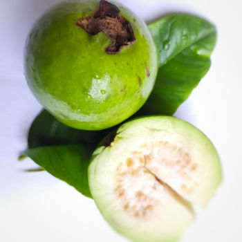 Green color guava with leaves arranged beautifully with white background plated with leaves and good for health and skin and Help Lower Blood Sugar Levels