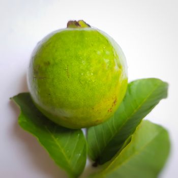 Green color guava with leaves arranged beautifully with color papers on background and good for health and skin and Help Lower Blood Sugar Levels