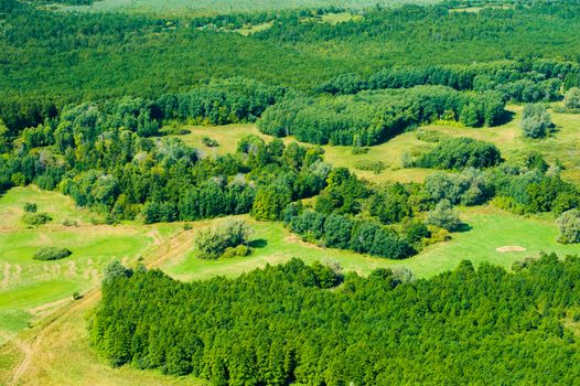 Aerial view of forest during a summer day