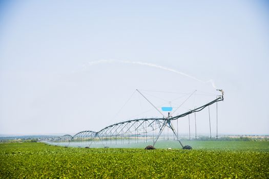 Automated farming irrigation sprinklers system on cultivated agricultural landscape field