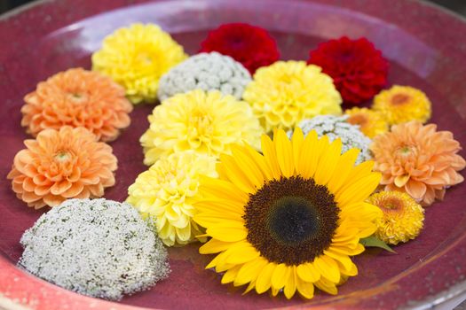 Flower decoration with blooms of a sunflower and dahlias in a bowl