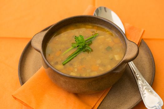 Bowl of lentil soup with vegetables and parsley