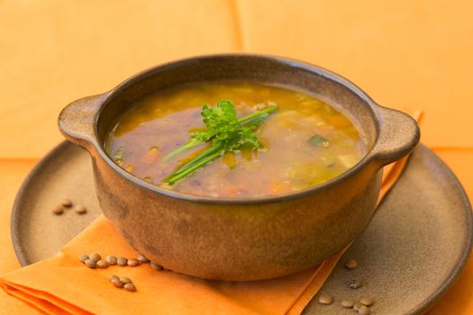 Bowl of lentil soup with vegetables and parsley