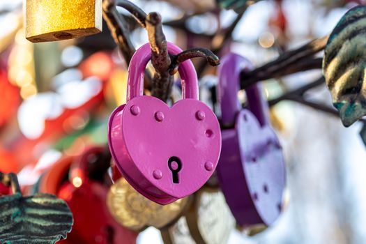 Many wedding colorful locks on a wedding tree. Symbol of love, marriage and happiness.