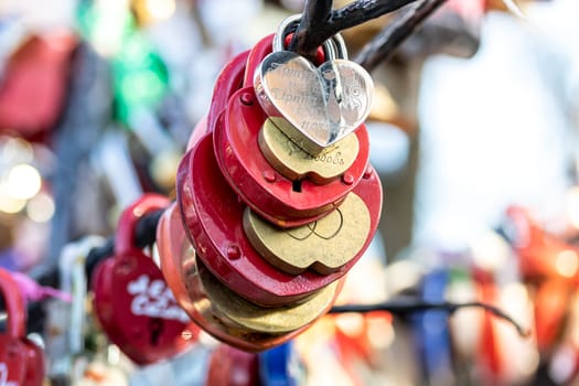 Many wedding colorful locks on a wedding tree. Symbol of love, marriage and happiness.