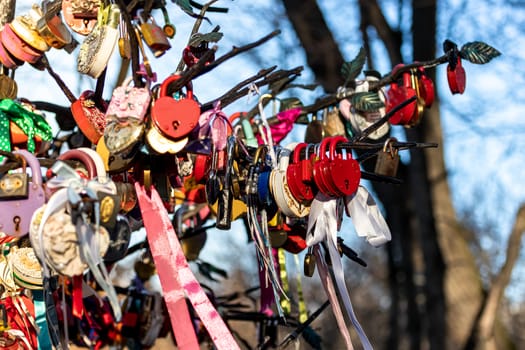 Many wedding colorful locks on a wedding tree. Symbol of love, marriage and happiness.