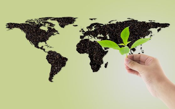 soil shape world map with hand holding plant environment concept.