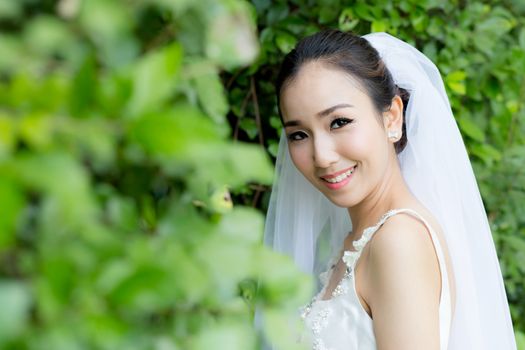 beautiful young woman on wedding day in white dress in the tree wall. Female portrait in the park - Selective focus.