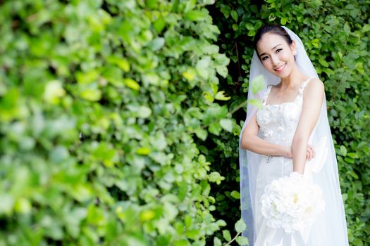 beautiful young woman on wedding day in white dress in the tree wall. Female portrait in the park - Selective focus.