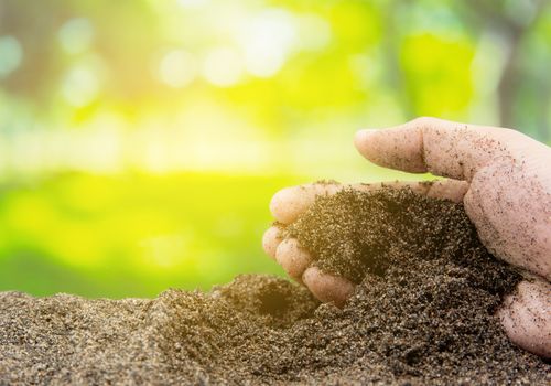Soil in hand with organic garden - agriculture. Environment concept.