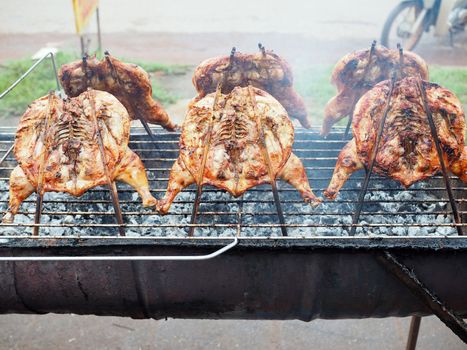 Grilled chicken on an iron stove made from a bucket.
Food concept.