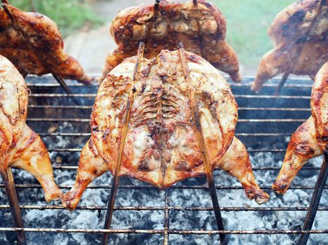 Grilled chicken on an iron stove made from a bucket.
Food concept.