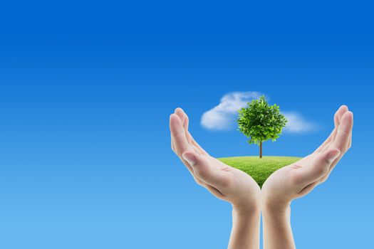 Hand holding grass and tree of nature background with environment concept.