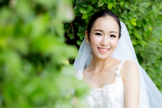 beautiful young woman on wedding day in white dress in the tree wall. Female portrait in the park - Selective focus.