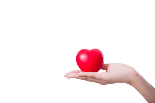 Heart in the hand isolated on white background with hope and charity concept, clipping part.