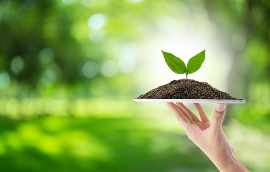 Hand holding tablet computer with soil and tree of nature background with environment concept.