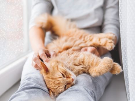 Cute ginger cat lying on woman's knees. Woman in grey pajama strokes fluffy pet. Cozy morning at home while snow is falling outside.