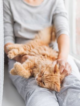 Cute ginger cat lying on woman's knees. Woman in grey pajama strokes fluffy pet. Cozy morning at home.