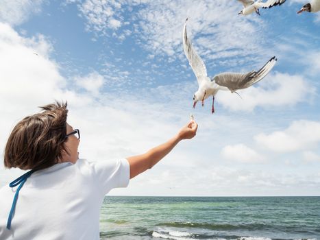 Woman feeds seagulls. Hungry noisy birds try to catch bread crust from woman's hand. Seascape in sunny day.