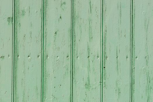 Green colored wooden planks background texture with copy space

