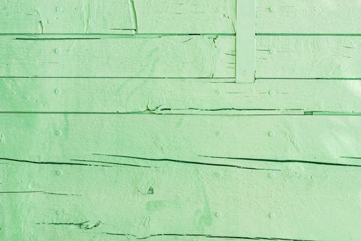Rustic green colored wood backdrop texture with copy space
