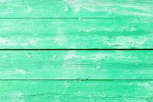 Rustic green colored wood backdrop texture with copy space