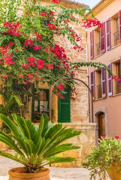 House with beautiful flowers on Majorca island, Spain Balearic islands