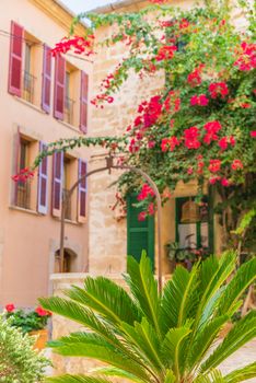 Idyllic house with beautiful bougainvillea at the old town of Alcudia, Mallorca Spain
