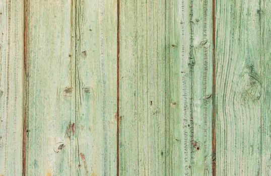 Rustic green colored wooden planks background texture with copy space