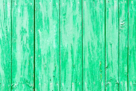 Rustic green colored wood backdrop texture with copy space