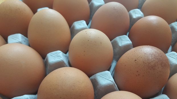 Fresh farm chicken eggs in an egg-carton or egg holder or paper tray placed in market for sale