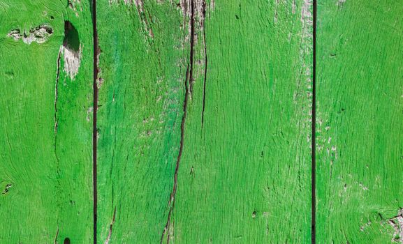 Vintage green colored wooden planks background texture 