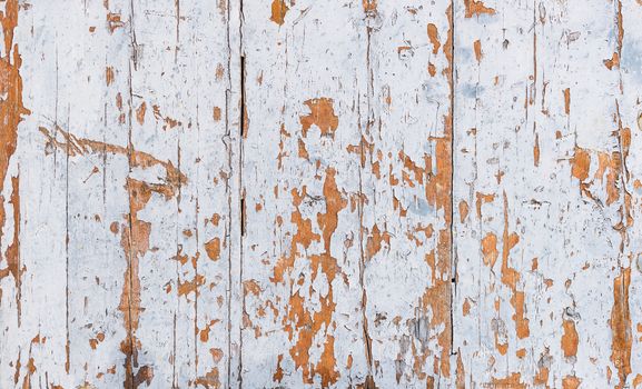 Old white wooden planks for background texture