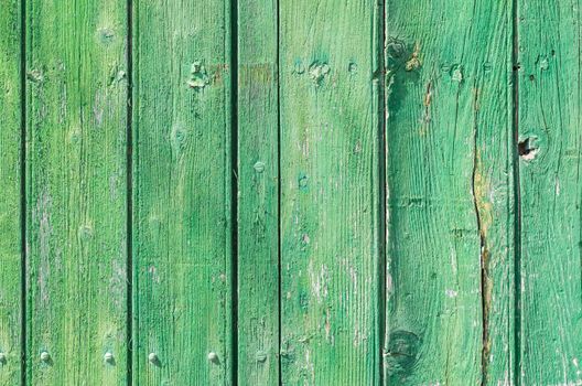 Green colored wooden planks background texture with copy space