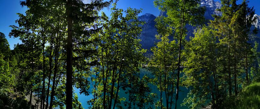 Green trees with a lake in switzerland alps. Outdoors lifestyle