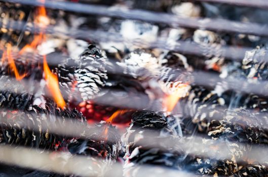 Detail view of empty flaming grill with charcoal and cones open fire