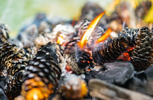 Close- up of fire with pine cones and charcoal Barbecue Grill