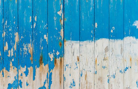 Damaged blue and white colored wood background texture with copy space