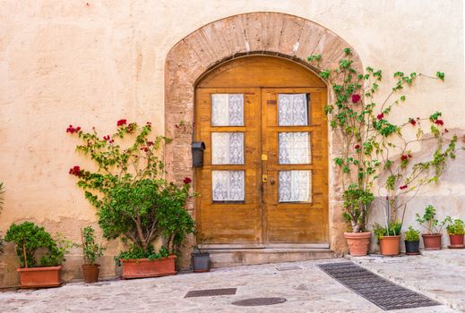 Wooden front door residence entrance with potted plants decoration