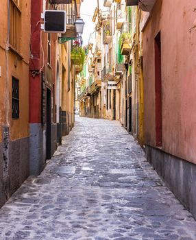Street at the old town of Palma de Mallorca, Spain, Balearic Islands