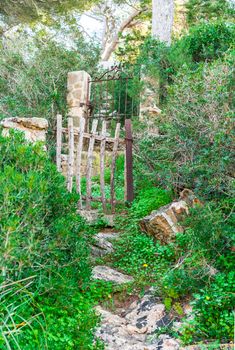 Romantic secret garden doors in beautiful natural landscape
