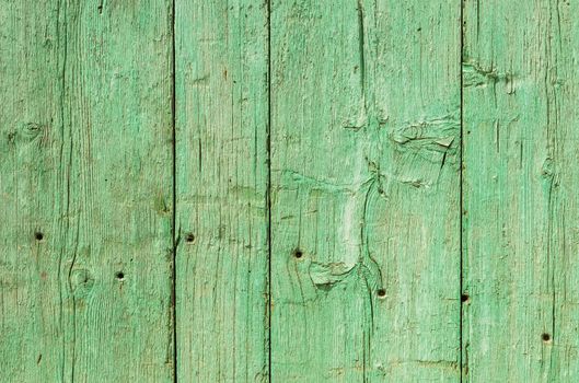 Green colored wooden planks background texture with copy s