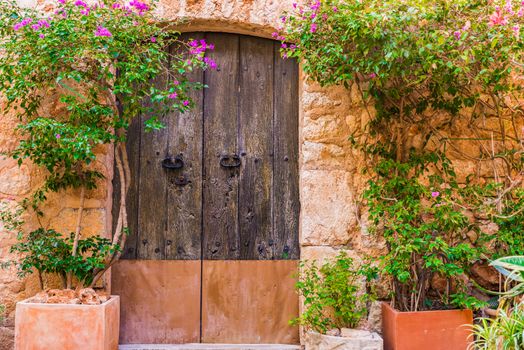 Close-up of old wooden front door with potted plants decoration