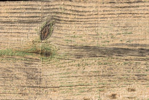 Old weathered wood planks background texture 

