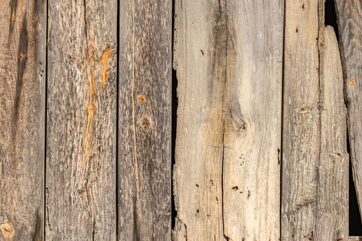 Damaged old grey wood backdrop texture

