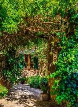 Romantic view of garden terrace with beautiful flowers and green plants
