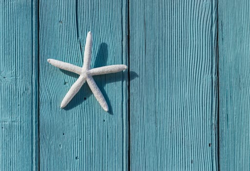 Sea star decoration on blue wooden background with copy space
