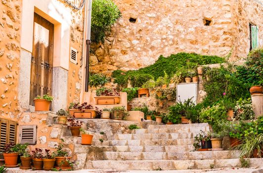 Traditional plant decoration on Mallorca island, old village of Banyalbufar