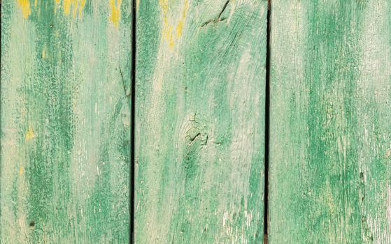 Rustic green colored wood backdrop texture with copy space

