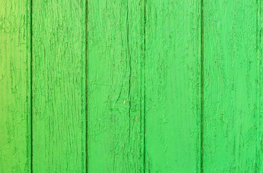 Fresh green colored wooden planks background texture with copy space